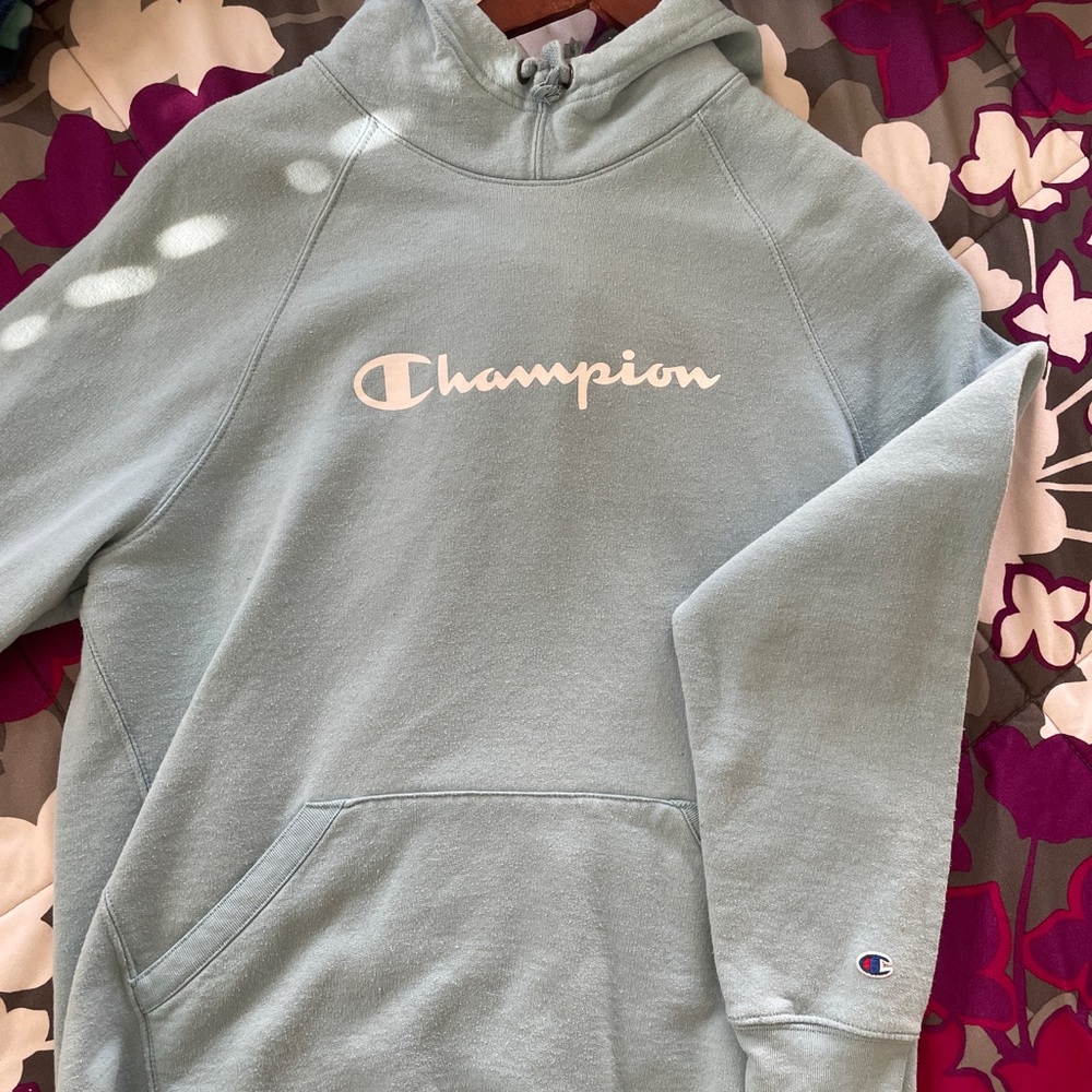 champion hoodie. one lilac, one blue available!